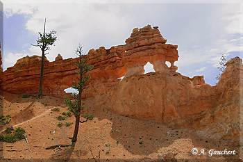 Window Formation